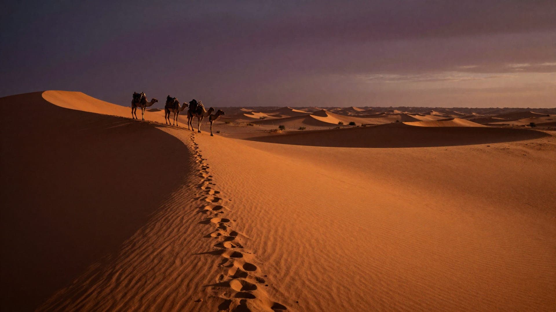 3 Days Desert Tour From Marrakech